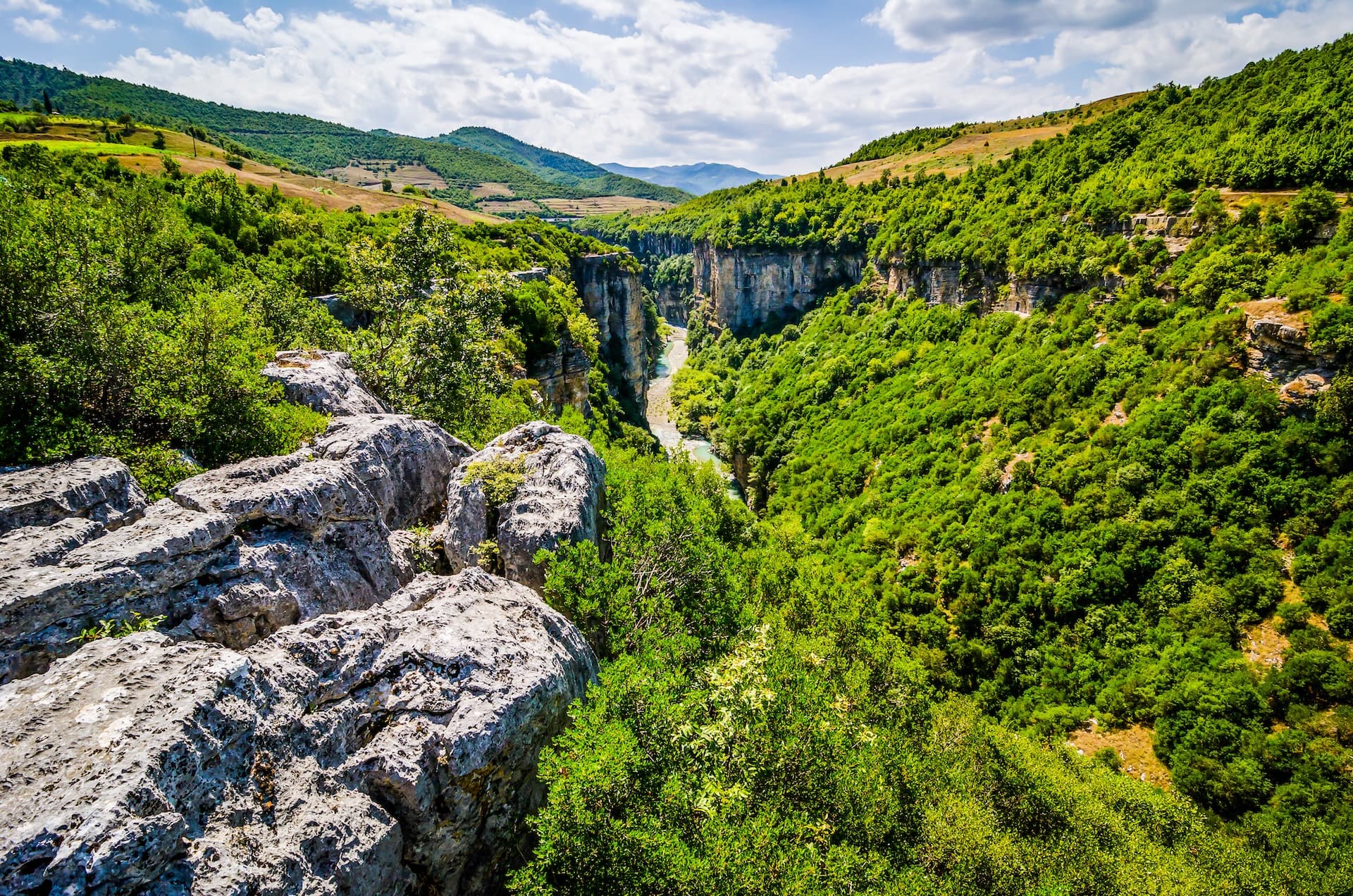 Deep canyon with river, lush green slopes, and rocky foreground, Osumi Canyon, Albania