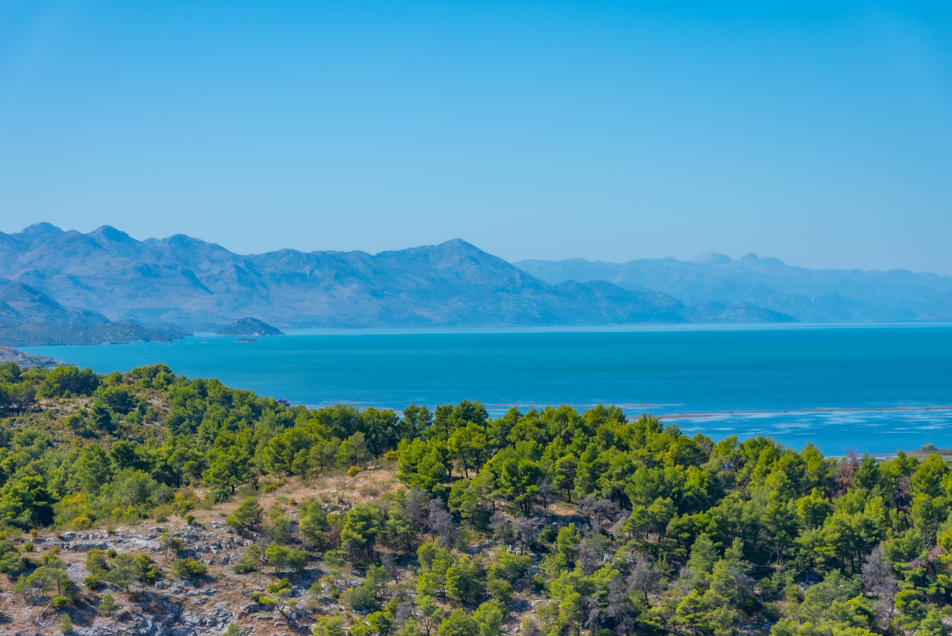 Lake Skadar Albania landscape with green trees, blue water, and distant mountains under clear sky.